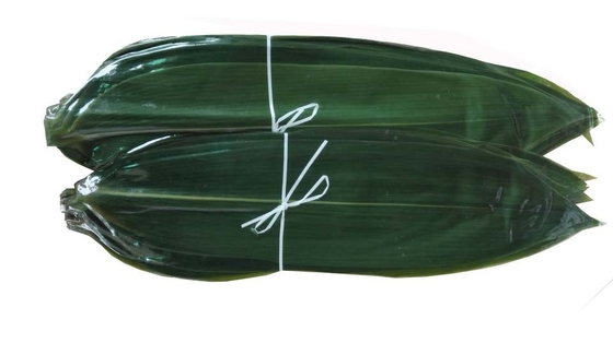 Van het de Sashimi de Verse Bamboe van de sushidecoratie Bladeren Zongye 7.5cm