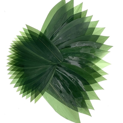 Van het de Sashimi de Verse Bamboe van de sushidecoratie Bladeren Zongye 7.5cm