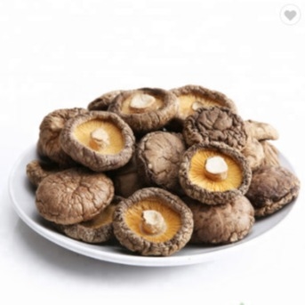 Gezonde Droge Shiitake-Paddestoel1kg Vlotte Oppervlakte 2 Jaar Houdbaarheid