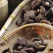 Gezonde Droge Shiitake-Paddestoel1kg Vlotte Oppervlakte 2 Jaar Houdbaarheid