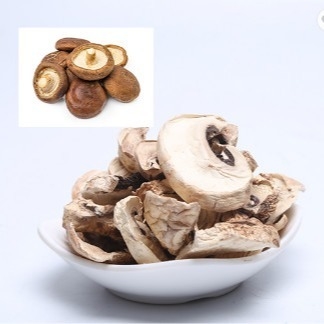 10x10mm Bruine Japanse Droge Shiitake de Zakmassa van de Paddestoelcultuur