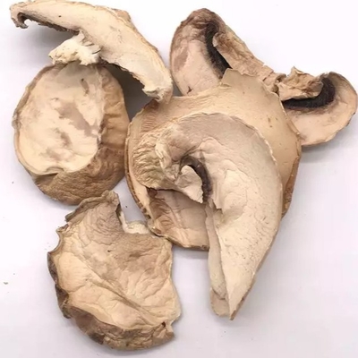 10x10mm Bruine Japanse Droge Shiitake de Zakmassa van de Paddestoelcultuur
