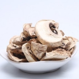 10x10mm Bruine Japanse Droge Shiitake de Zakmassa van de Paddestoelcultuur