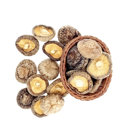 HACCP 1kg 3kg droogt Shiitake-Paddestoel Japanner met Goede Smaak