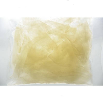 De Meeneem Gesneden 10g Ingelegde Sushi Ginger In Sweet Vinegar van HACCP